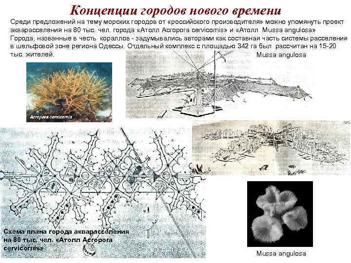 Концепции городов нового времени Среди предложений на тему морских городов от Концепции городов нового времени Среди предложений на тему морских городов от
