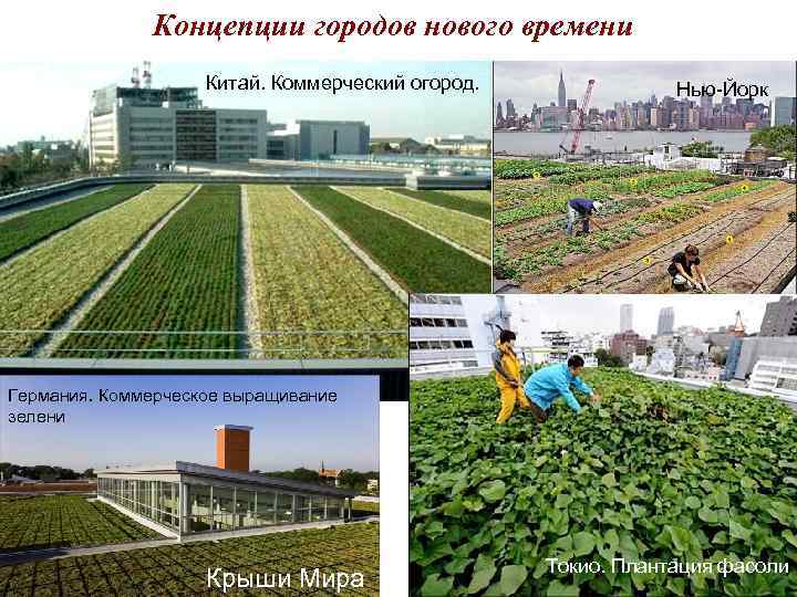 Концепции городов нового времени Китай. Коммерческий Концепции городов нового времени Китай. Коммерческий