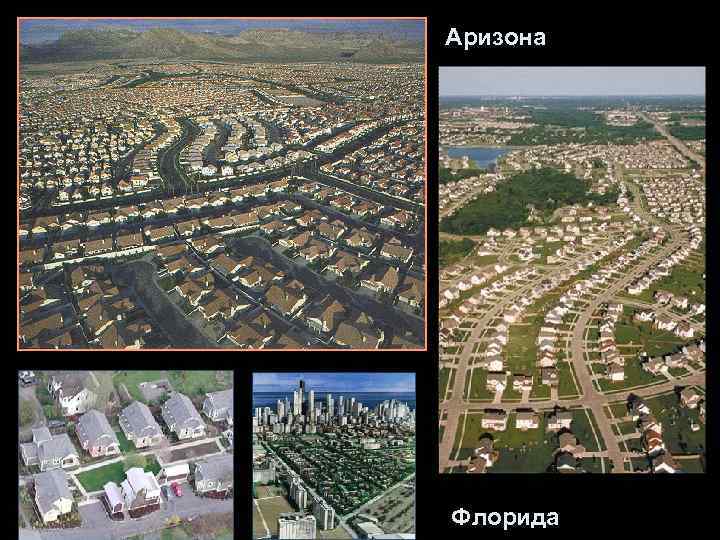Аризона Флорида 