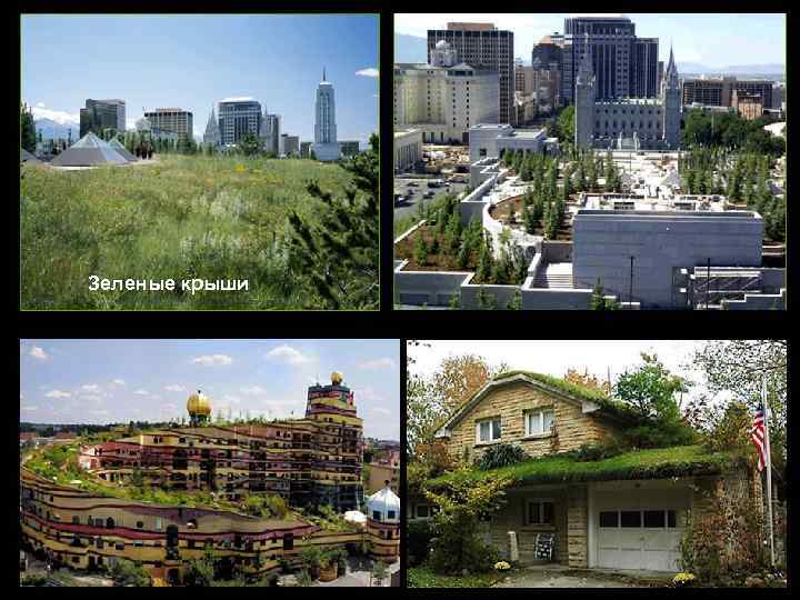 Зеленые крыши 