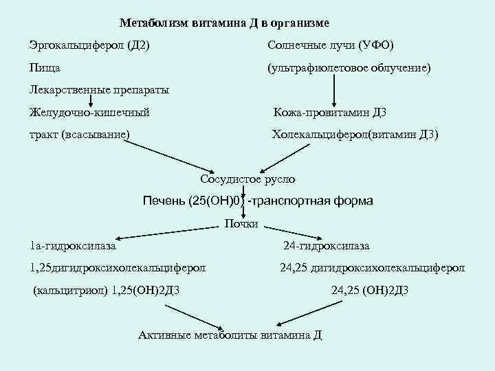 Схема образования витамина д