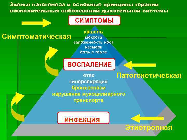  Звенья патогенеза и основные принципы терапии воспалительных заболеваний дыхательной системы   