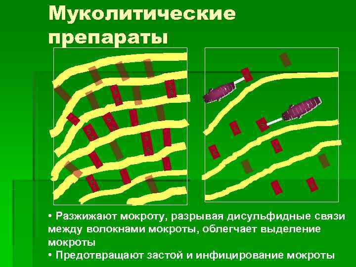 Муколитические препараты         s   
