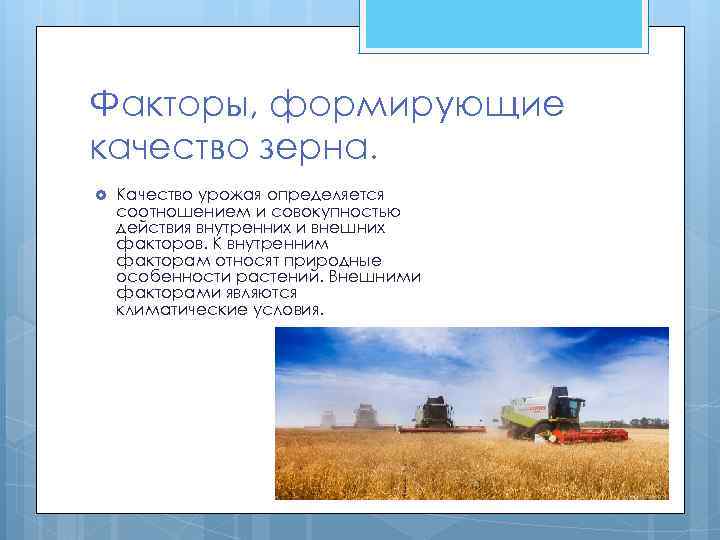 Факторы, формирующие качество зерна. Качество урожая определяется соотношением и совокупностью действия внутренних и внешних