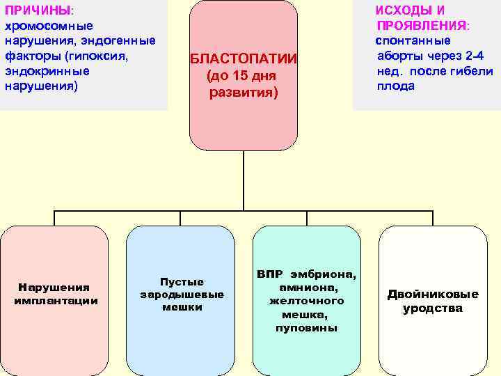 Причина исхода ижорского населения. Бластопатии виды. Примеры гаметопатий. Этиология и патогенез бластопатий. Бластопатии проявляются:.