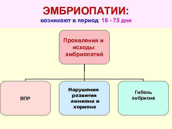  ЭМБРИОПАТИИ:  возникают в период 16 - 75 дни    Проявления