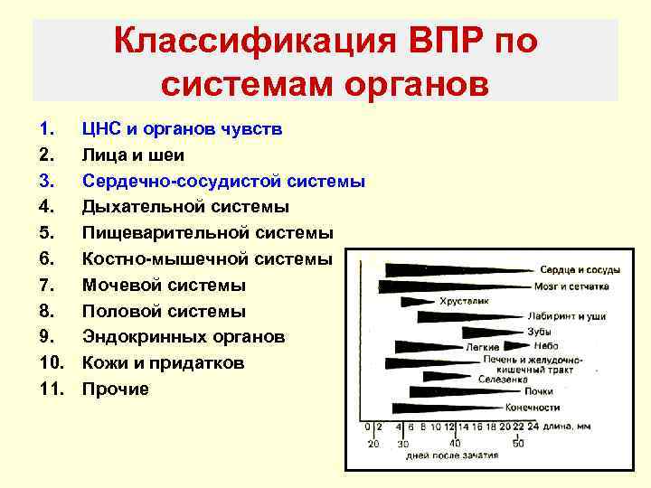   Классификация ВПР по  системам органов 1. ЦНС и органов чувств 2.
