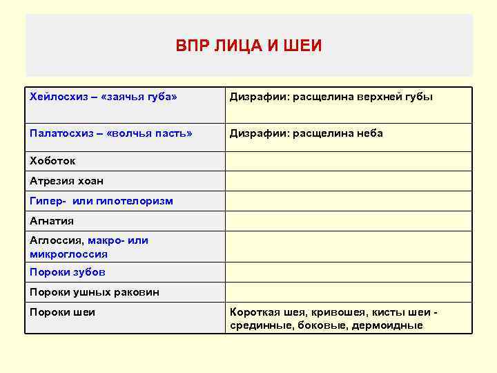      ВПР ЛИЦА И ШЕИ Хейлосхиз – «заячья губа» 