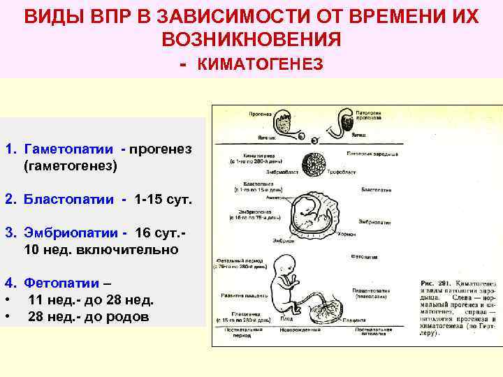 Впр тип 15