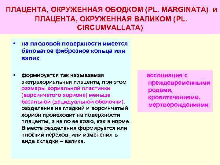 ПЛАЦЕНТА, ОКРУЖЕННАЯ ОБОДКОМ (PL. MARGINATA) и  ПЛАЦЕНТА, ОКРУЖЕННАЯ ВАЛИКОМ (PL.   CIRCUMVALLATA)