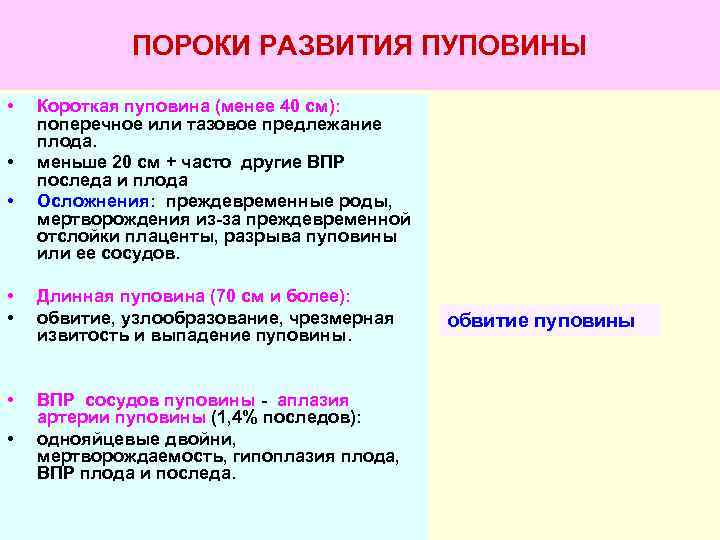    ПОРОКИ РАЗВИТИЯ ПУПОВИНЫ  •  Короткая пуповина (менее 40 см):