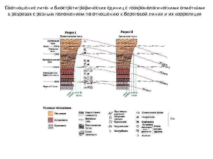 Соотношение лито и биостратиграфических единиц с геохронологическими отметками в разрезах с разным положением по