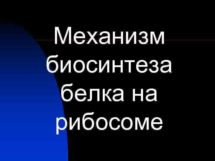 Механизм биосинтеза белка на рибосоме Механизм биосинтеза белка на рибосоме