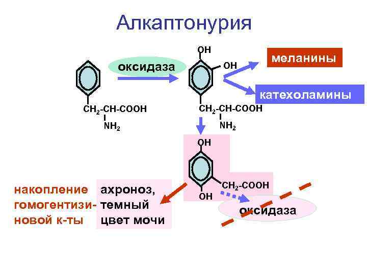 Аминокислота тирозин презентация