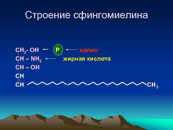  Строение сфингомиелина  СН 2 - ОН  Р  холин СН –