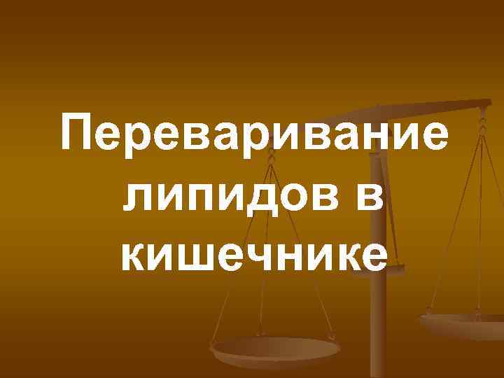 Переваривание  липидов в  кишечнике 