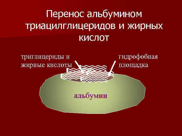  Перенос альбумином триацилглицеридов и жирных  кислот триглицериды и   гидрофобная жирные