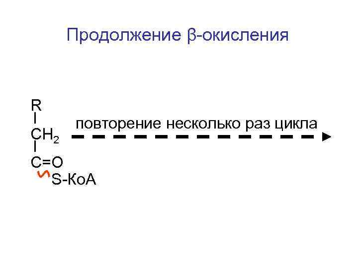  Продолжение β-окисления  R  повторение несколько раз цикла CН 2 С=О 