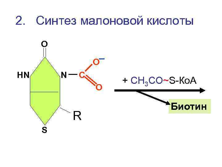 2. Синтез малоновой кислоты О    О НN  N  С