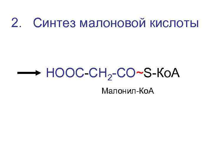 2. Синтез малоновой кислоты  НООС-СН 2 -СО~S-Ко. А   Малонил-Ко. А 