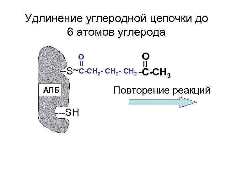 Удлинение углеродной цепочки до  6 атомов углерода    О  