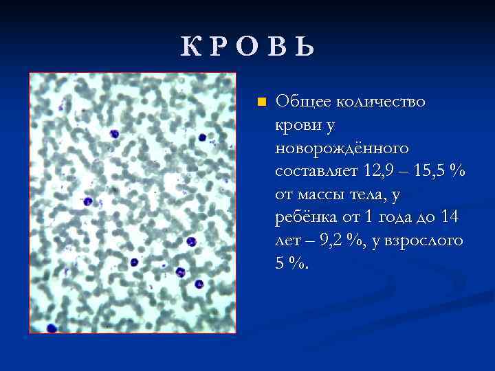 КРОВЬ  n  Общее количество  крови у  новорождённого  составляет 12,