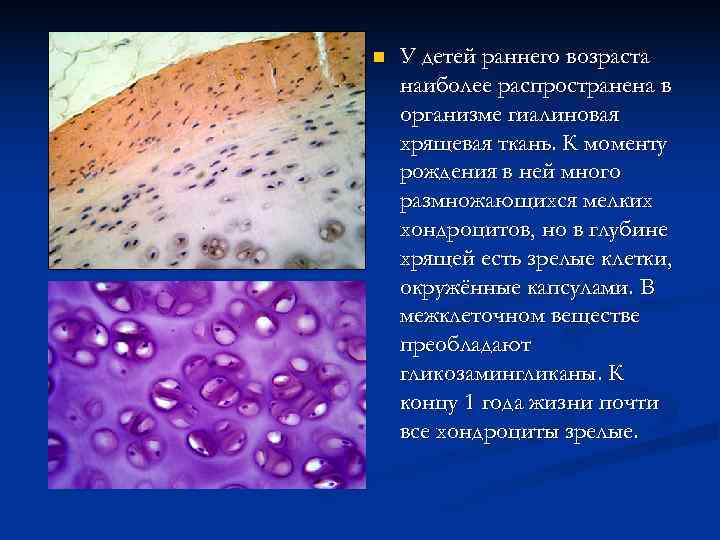 n  У детей раннего возраста наиболее распространена в организме гиалиновая хрящевая ткань. К
