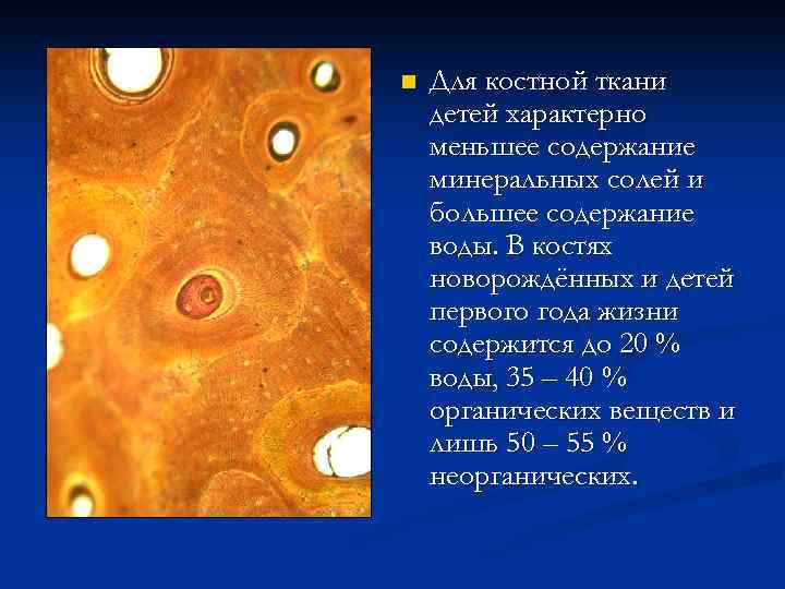 n  Для костной ткани детей характерно меньшее содержание минеральных солей и большее содержание