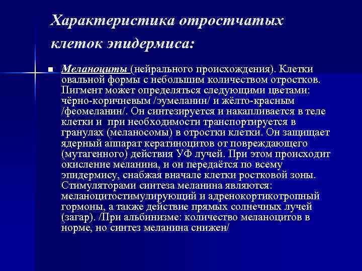Характеристика отростчатых клеток эпидермиса: n Меланоциты (нейрального происхождения). Клетки овальной формы с небольшим Характеристика отростчатых клеток эпидермиса: n Меланоциты (нейрального происхождения). Клетки овальной формы с небольшим