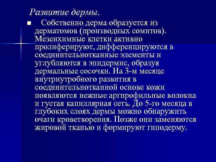 Развитие дермы. n Собственно дерма образуется из дерматомов (производных сомитов). Мезенхимные клетки активно пролиферируют, Развитие дермы. n Собственно дерма образуется из дерматомов (производных сомитов). Мезенхимные клетки активно пролиферируют,