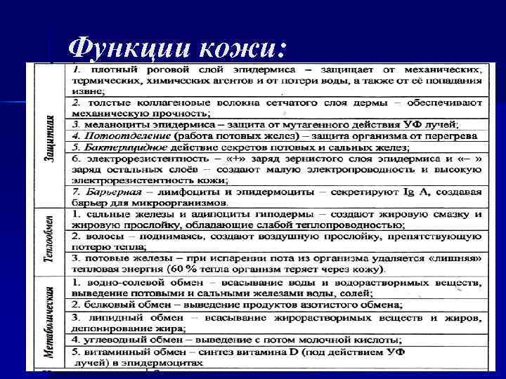 Функции кожи: Функции кожи: