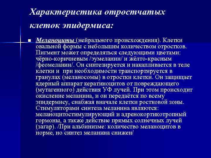 Характеристика отростчатых клеток эпидермиса: n Меланоциты (нейрального происхождения). Клетки овальной формы с небольшим Характеристика отростчатых клеток эпидермиса: n Меланоциты (нейрального происхождения). Клетки овальной формы с небольшим