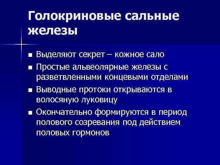 Голокриновые сальные железы n Выделяют секрет – кожное сало n Простые альвеолярные Голокриновые сальные железы n Выделяют секрет – кожное сало n Простые альвеолярные