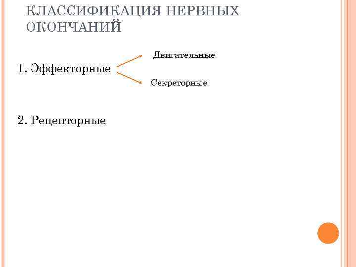  КЛАССИФИКАЦИЯ НЕРВНЫХ ОКОНЧАНИЙ   Двигательные 1. Эффекторные   Секреторные  2.