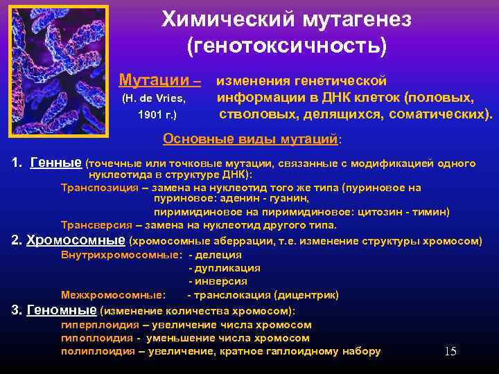       Химический мутагенез     (генотоксичность) 