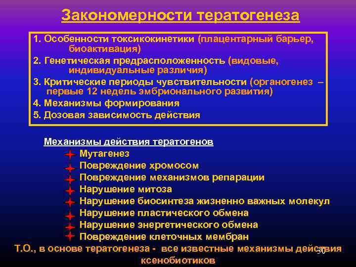   Закономерности тератогенеза  1. Особенности токсикокинетики (плацентарный барьер,  биоактивация)  2.