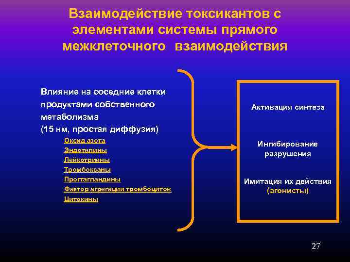  Взаимодействие токсикантов с  элементами системы прямого межклеточного  взаимодействия  Влияние на