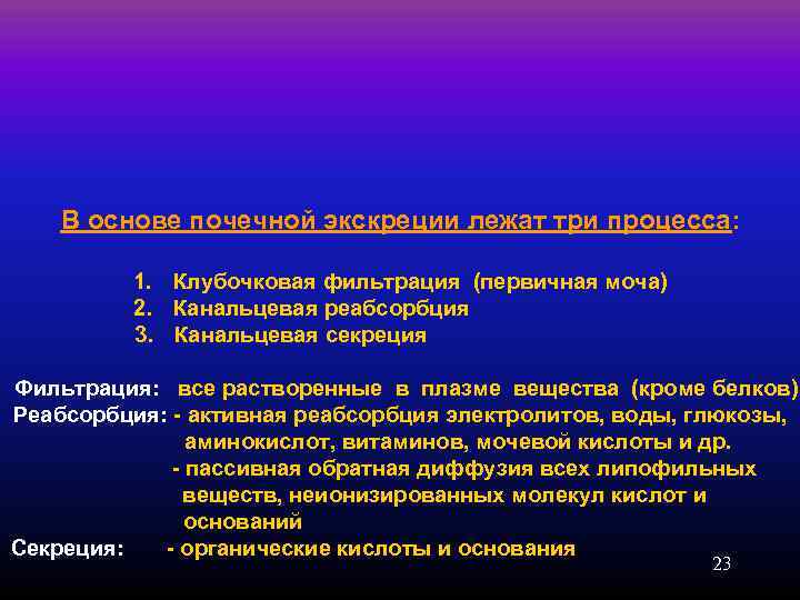  В основе почечной экскреции лежат три процесса:   1. Клубочковая фильтрация (первичная