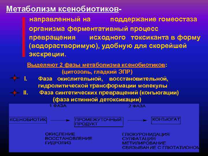 Метаболизм ксенобиотиков-  направленный на поддержание гомеостаза  организма ферментативный процесс   превращения