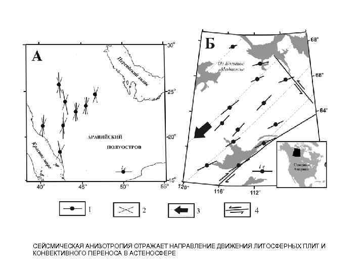 СЕЙСМИЧЕСКАЯ АНИЗОТРОПИЯ ОТРАЖАЕТ НАПРАВЛЕНИЕ ДВИЖЕНИЯ ЛИТОСФЕРНЫХ ПЛИТ И КОНВЕКТИВНОГО ПЕРЕНОСА В АСТЕНОСФЕРЕ 