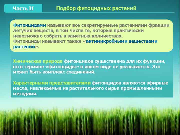 Фитонцидами называют все секретируемые растениями фракции летучих веществ, в том числе те, которые практически