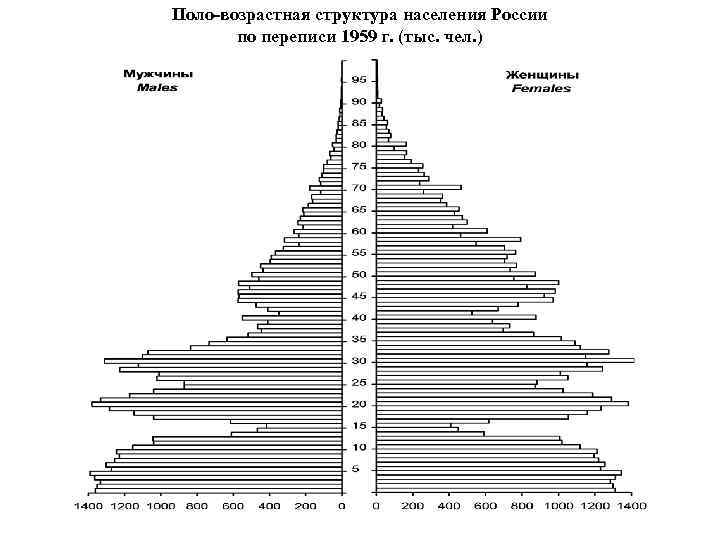 Поло-возрастная структура населения России  по переписи 1959 г. (тыс. чел. ) 