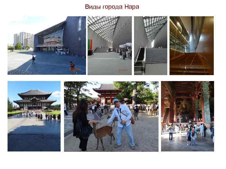 Виды города Нара 
