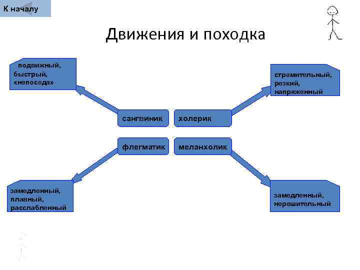 К началу    Движения и походка  подвижный,  быстрый,  