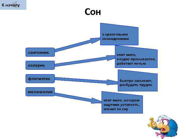 К началу     Сон      с красочными