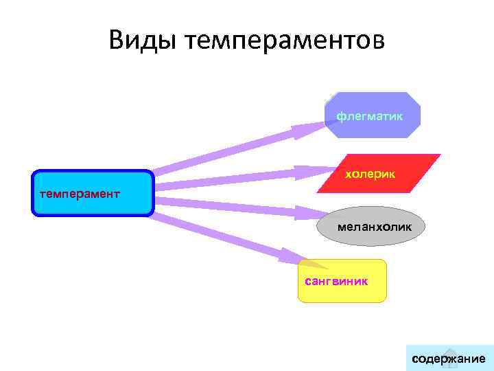    Виды темпераментов      флегматик   