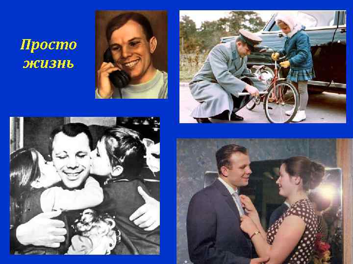 Просто жизнь 