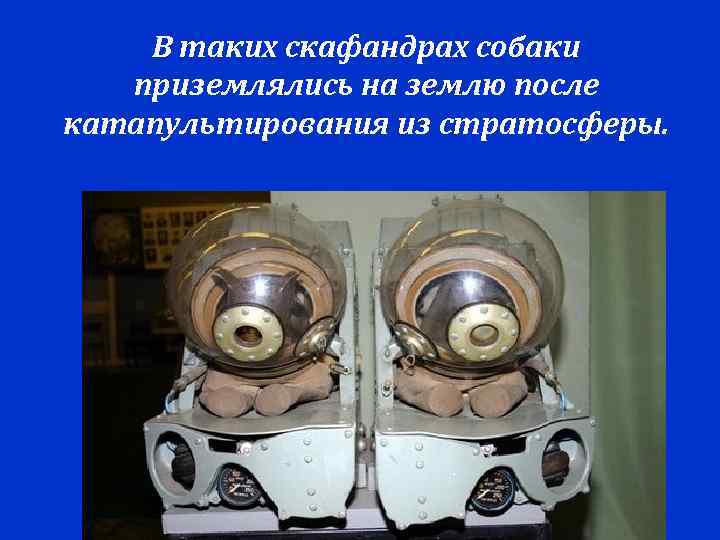   В таких скафандрах собаки  приземлялись на землю после катапультирования из стратосферы.