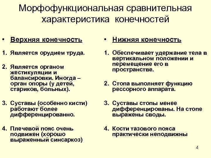  Морфофункциональная сравнительная   характеристика конечностей  • Верхняя конечность  • Нижняя