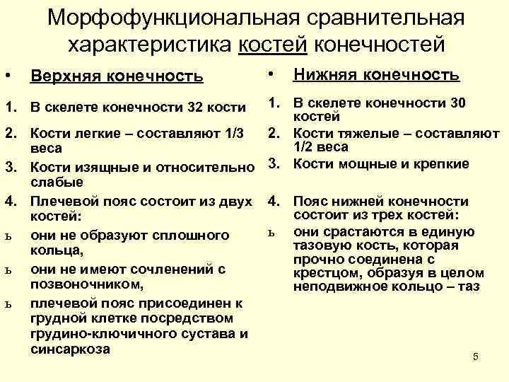  Морфофункциональная сравнительная  характеристика костей конечностей •  Верхняя конечность   •